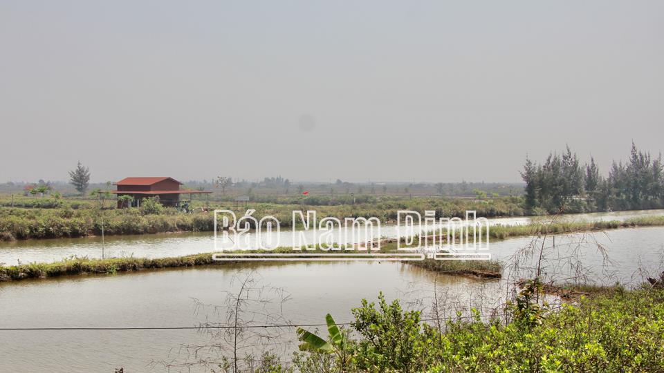 Thông báo về việc di dời tài sản, chấm dứt hoạt động nuôi thủy sản tại khu vực Cồn Xanh