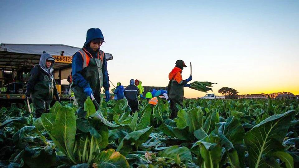 Australia tăng cường gắn kết Thái Bình Dương