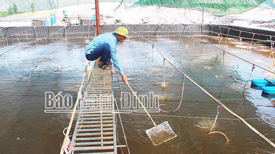 Gắn sản xuất với bảo vệ môi trường