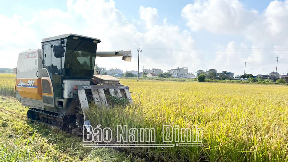 Mô hình làm giàutừ tích tụ ruộng đất ở xã Thành Lợi