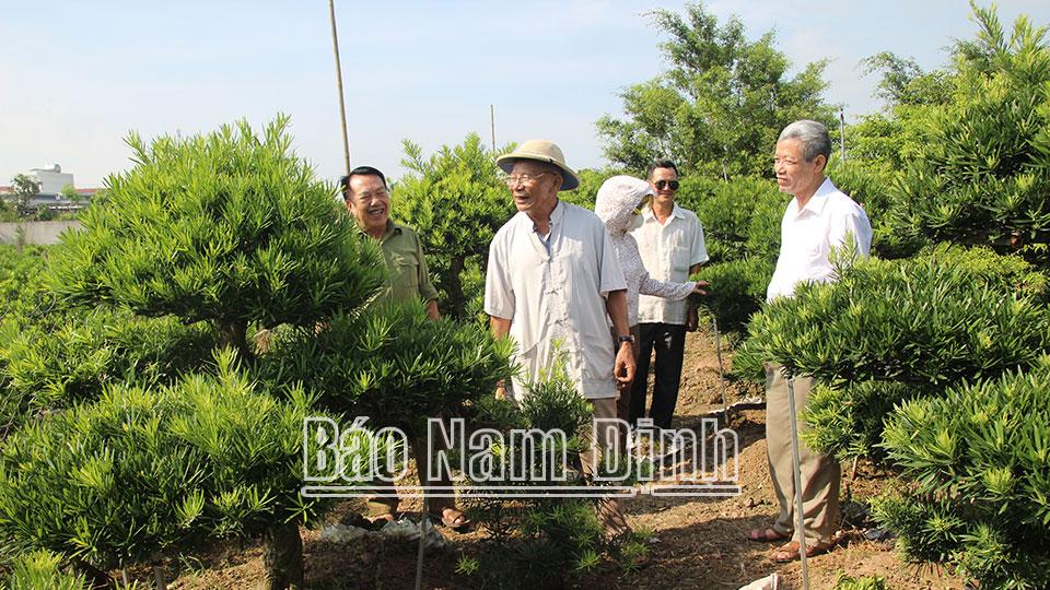 Người cao tuổi năng độngphát triển kinh tế