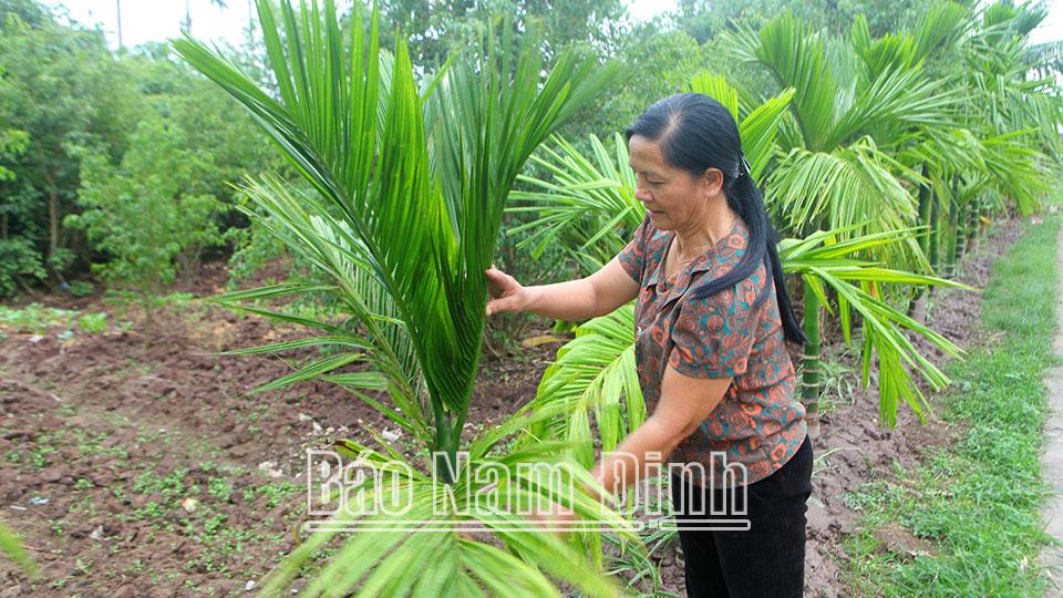 Vốn chính sách hỗ trợ người nghèophát triển kinh tế ở Hải Đông