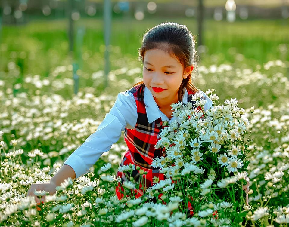 Làng hoa gọi Xuân về