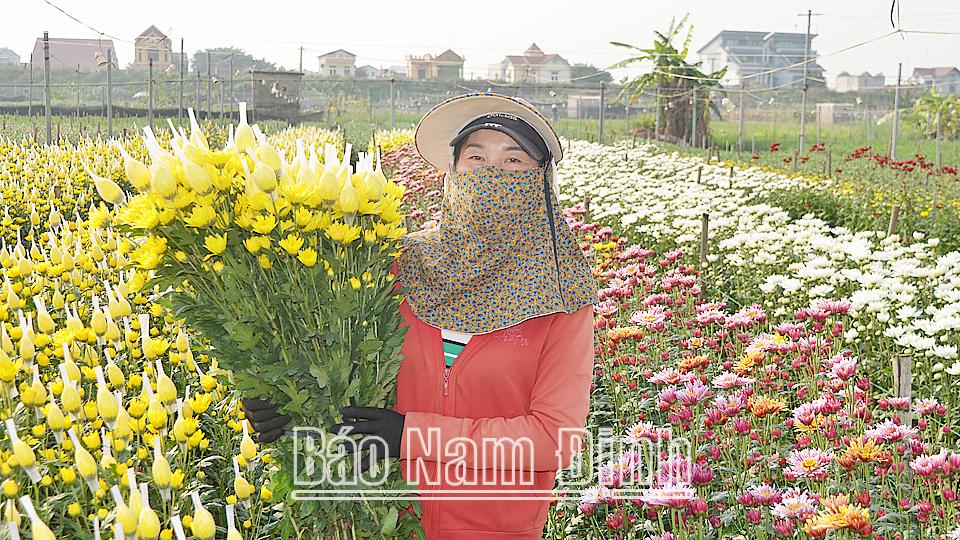 Các làng hoa cảnh vào vụ Tết