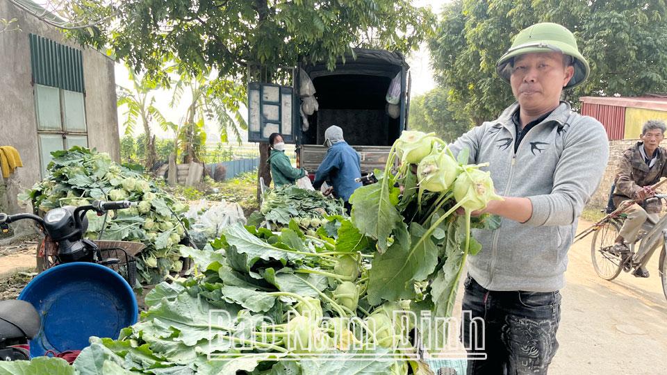 Vụ đông sớm ở Ý Yên