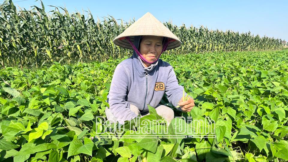 Ghi nhận vụ đông hàng hoá ở Ý Yên