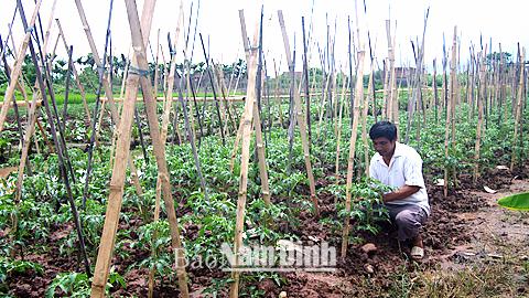 Dự báo thời tiết, thủy văn đêm 25-9-2014 ngày 26-9-2014 tỉnh Nam Định