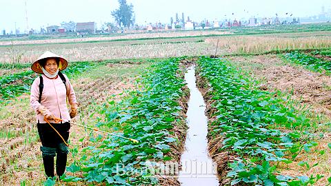 Dự báo thời tiết, thủy văn đêm 20-10-2014 ngày 21-10-2014 tỉnh Nam Định