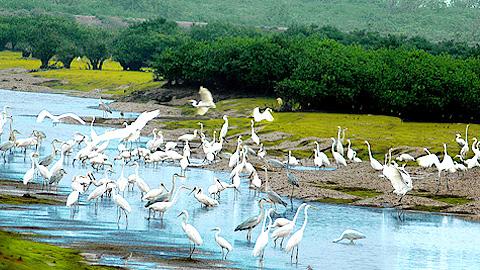 Dự báo thời tiết, thủy văn đêm 30-10-2014 ngày 31-10-2014 tỉnh Nam Định