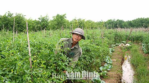 Dự báo thời tiết, thủy văn đêm 05-11-2014 ngày 06-11-2014 tỉnh Nam Định