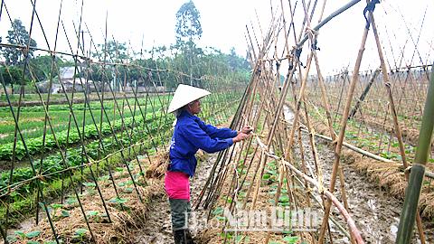 Dự báo thời tiết, thủy văn đêm 17-11-2014 ngày 18-11-2014 tỉnh Nam Định