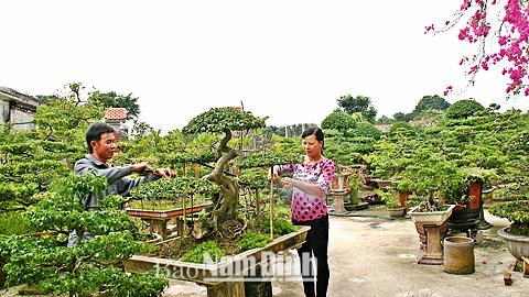 Dự báo thời tiết, thủy văn đêm 21-11-2014 ngày 22-11-2014 tỉnh Nam Định