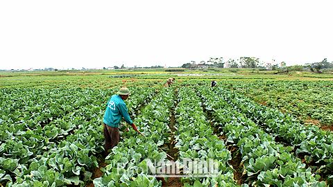 Dự báo thời tiết, thủy văn đêm 19-12-2014 ngày 20-12-2014 tỉnh Nam Định
