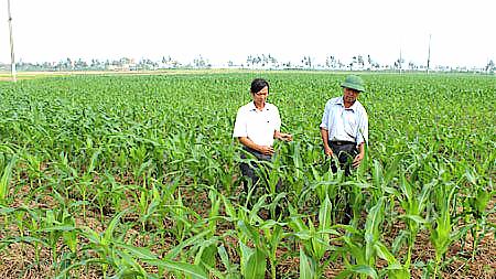 Đẩy mạnh tái cơ cấu nông nghiệp gắn với xây dựng nông thôn mới