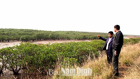 Dự báo thời tiết, thủy văn đêm 2-2-2015 ngày 3-2-2015 tỉnh Nam Định