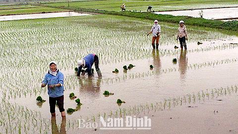 Dự báo thời tiết, thủy văn đêm 2-3-2015 ngày 3-3-2015 tỉnh Nam Định