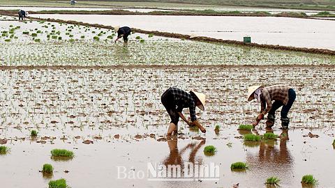 Dự báo thời tiết, thủy văn đêm 19-3-2015 ngày 20-3-2015 tỉnh Nam Định