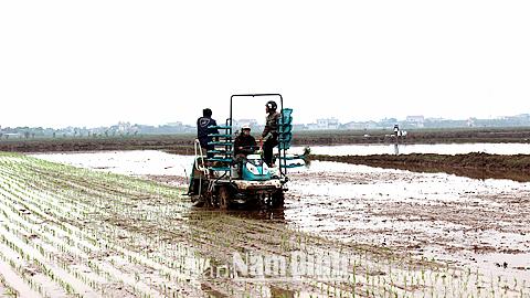 Dự báo thời tiết, thủy văn đêm 31-3-2015 ngày 1-4-2015 tỉnh Nam Định