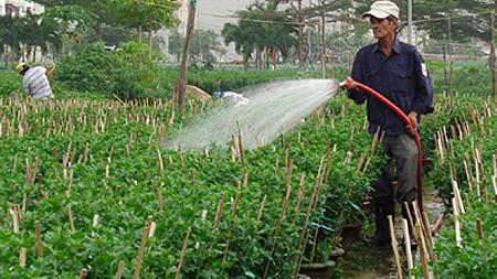 Đà Nẵng: Về đích nông thôn mới trong năm 2015