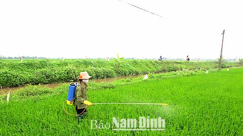 Dự báo thời tiết, thủy văn đêm 15-4-2015 ngày 16-4-2015 tỉnh Nam Định