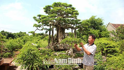 Thị trấn Thịnh Long tiếp tục phát triển phong trào sinh vật cảnh