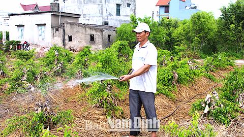 Dự báo thời tiết, thủy văn đêm 22-7-2015 ngày 23-7-2015 tỉnh Nam Định