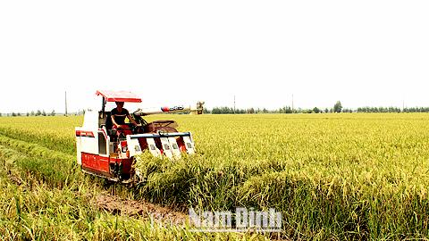 Dự báo thời tiết, thủy văn đêm 24-9-2015 ngày 25-9-2015 tỉnh Nam Định