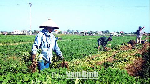 Dự báo thời tiết, thủy văn đêm 29-10-2015 ngày 30-10-2015 tỉnh Nam Định