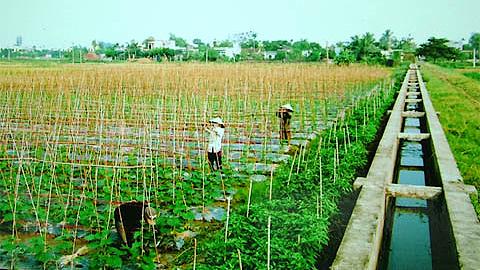 Dự báo thời tiết, thủy văn đêm 3-11-2015 ngày 4-11-2015 tỉnh Nam Định