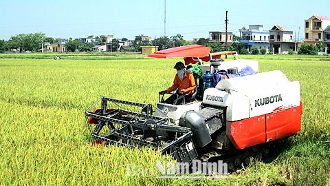 Dự báo thời tiết, thủy văn đêm 4-11-2015 ngày 5-11-2015 tỉnh Nam Định