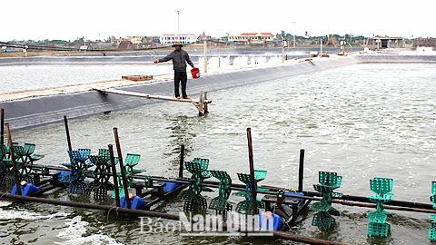 Dự báo thời tiết, thủy văn đêm 7-12-2015 ngày 8-12-2015 tỉnh Nam Định