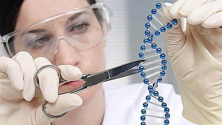 Thử nghiệm sửa lại gene khuyết tật trong phôi thai người