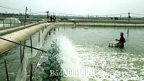 Hiệu quả kép trong ứng dụng tiến bộ kỹ thuật vào sản xuất ở Giao Phong