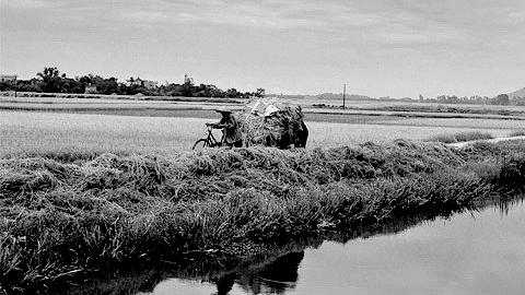 Đảng bộ lãnh đạo bước đầu chuyển đổi cơ chế quản lý KT-XH, củng cố quốc phòng - an ninh (Kỳ 1)