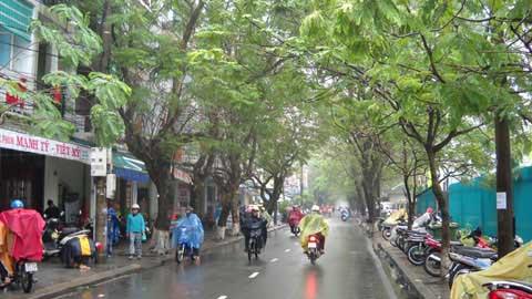 Dự báo thời tiết, thủy văn đêm 7-6-2017 ngày 8-6-2017 tỉnh Nam Định