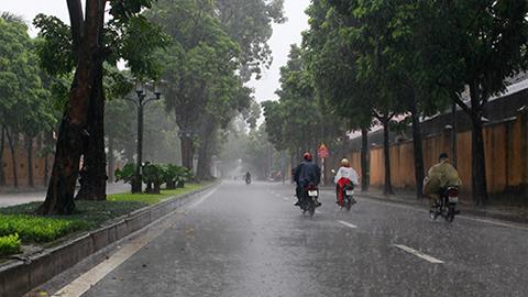 Dự báo thời tiết, thủy văn đêm 7-11-2016 ngày 8-11-2016 tỉnh Nam Định