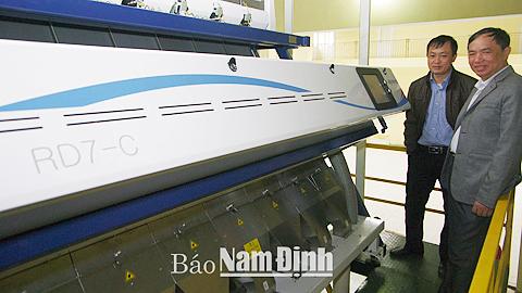 Hiệu quả liên kết sản xuất theo chuỗi giữa các hợp tác xã, nông dân và doanh nghiệp