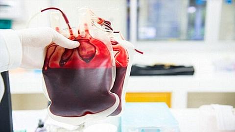 Máu nhân tạo có thể cứu người như máu thật