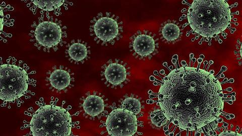 Cảnh báo nguy cơ dịch cúm gia cầm bùng phát đầu năm