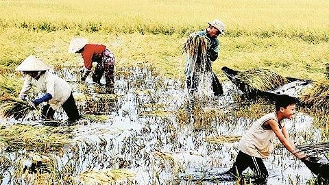 Một số chính sách mới bắt đầu có hiệu lực từ tháng 2-2017