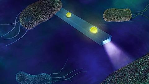 Thiết bị mới giúp lắng nghe được âm thanh của từng tế bào