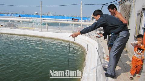 Tăng cường công tác thú y thủy sản