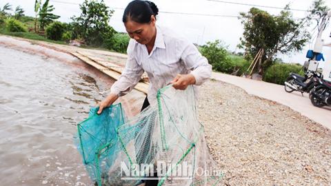 Những mô hình nuôi tôm thích ứng với biến đổi khí hậu