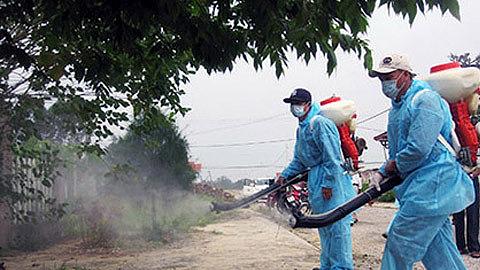 Dùng muỗi diệt muỗi ngăn sốt xuất huyết