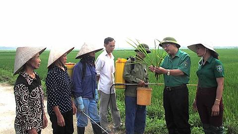 Dự báo thời tiết, thủy văn đêm 12-9-2017 ngày 13-9-2017 tỉnh Nam Định