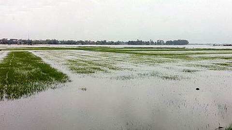 Công điện Số: 04/CĐ-PCTT hồi 7 giờ 30 ngày 9-7-2018