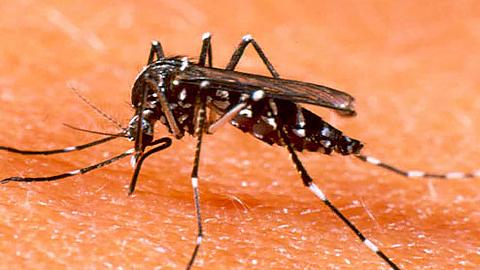 Lý do bệnh truyền nhiễm ngày càng gia tăng