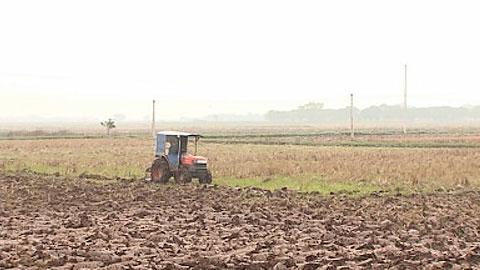 Tập trung chỉ đạo sản xuất vụ xuân 2018