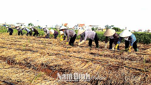 Ghi chép ở một nông trại hữu cơ