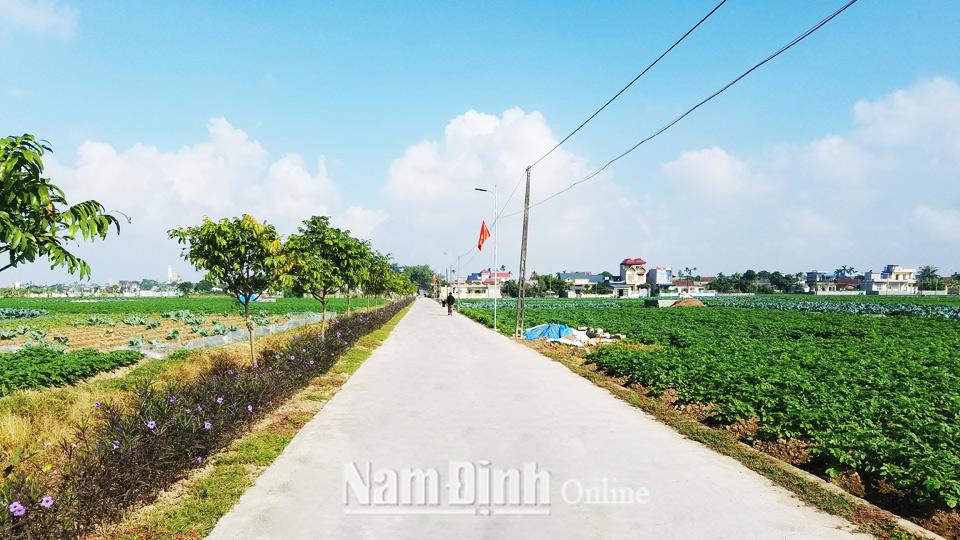 Nam Trực nỗ lực hoàn thành tiêu chí môi trường trong xây dựng nông thôn mới